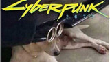 Cyberpunk 2077 "Latest Preview" Special for China