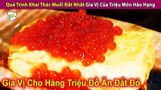 Quá Trình Khai Thác Muối Đắt Nhất TG Gia Vị Của Triệu Món Hảo Hạng | Review Con Người Và Cuộc Sống