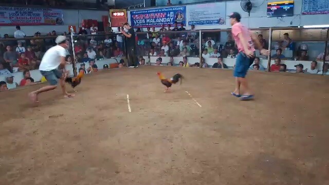 2nd fight champion 55k parada @vcsa nadehado pa sa sobrang bigtime ng nakalaban😅