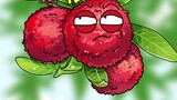 Can the worms in bayberry be eaten?