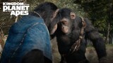 Kingdom of the Planet of the Apes | Mother's Day