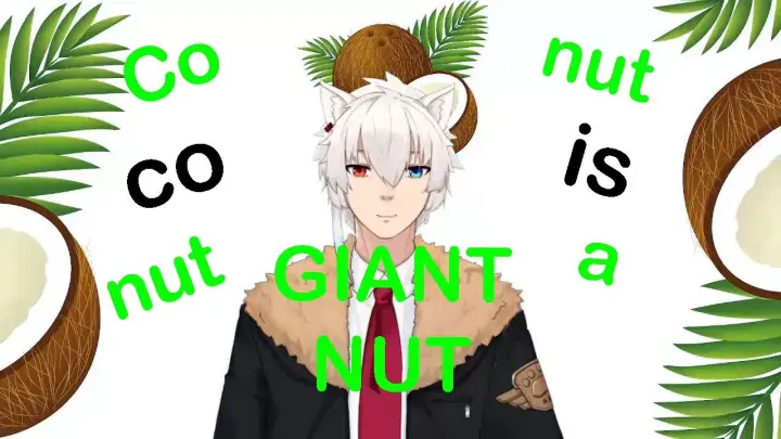 The Coconut Nut Is A Giant Nut.