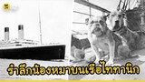 ภาพ 108 ปีแห่งความทรงจำ “น้องหมาบนเรือไททานิก” และเรื่องเล่าบีบหัวใจคนรักสัตว์ | Dog's Clip