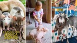 Mga daga, biik at kambing, ginagawang pet?! | Kapuso Mo, Jessica Soho
