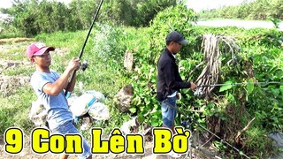 Không Thể Tin Nổi Đi Câu Cá Tra Sông Lên 9 Con Cá 1 Ngày Nhờ Mồi Câu Thần Thánh/fishing/NGÃ NĂM TV