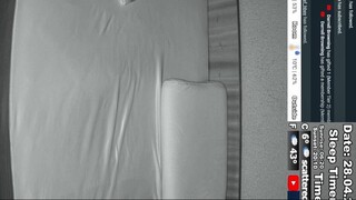 Sleep Stream 28.04.2025
