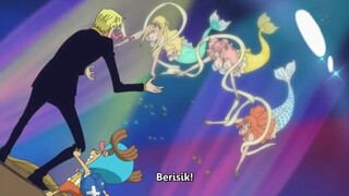 SANJI MENGGILA NGELIAT DUYUNG ADUHAI🤤