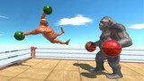 Boxing Tournament - Animal Revolt Battle Simulator