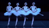【芭蕾】天鹅湖高清名场面|四小天鹅—巴黎歌剧院2006年版本（无水印）