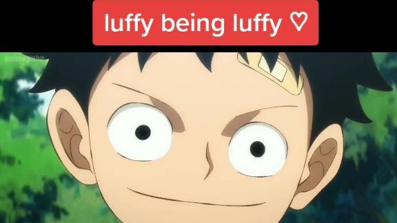 just Luffy being cute <3