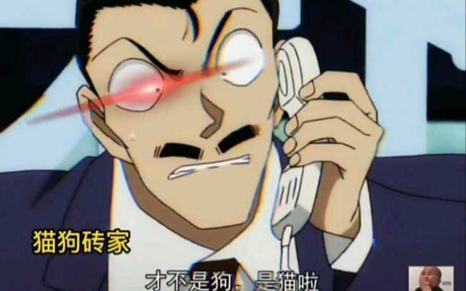 "Detective Conan" is a professional cat and dog finder, Maori Kogoro? As expected of you, the dreame