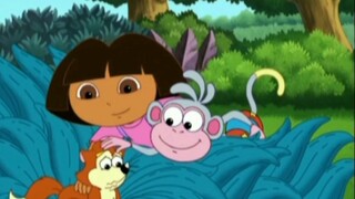 "Dora mù và những chú khỉ dẫn đường"