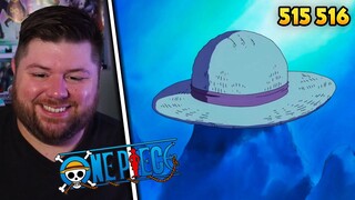 Let's Meet In 2 Years! | One Piece REACTION | Episode 515 & 516