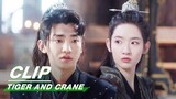 Everyone Vouched for Hu Zi | Tiger and Crane EP21 | 虎鹤妖师录 | iQIYI