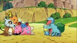 [Pokémon] Dari kehidupan sehari-hari dua Squirtle dan Bulbasaur yang konyol~