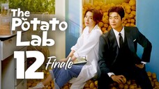 🇰🇷EP 12 𝗙𝗜𝗡𝗔𝗟𝗘 | The Potato Lab (2025) [EngSub]