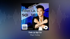 ALBUM TÌNH LÀ SỢI TƠ - KHÔNG LIÊN QUAN (VOL 7 - PHẦN 1) | PHẠM TRƯỞNG | OFFICIAL MUSIC VIDEO