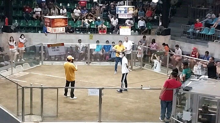 4 stag derby 4th fight win