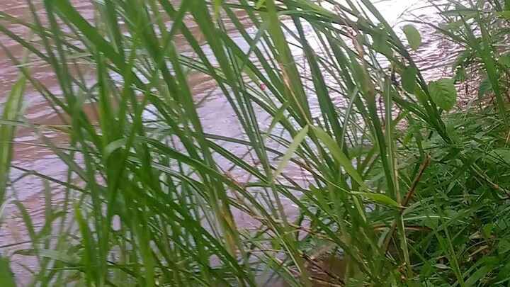 # April 28, 2025 floods affecting my job