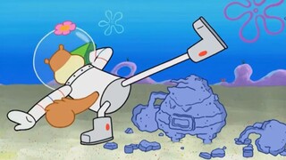 Mr. Krabs destroyed Sandy's tree house and planned to take the prize money for himself. Sandy couldn