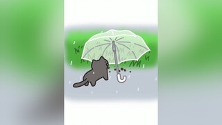 Ngày mưa gió...mèo cute foryou