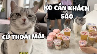 Ngày đầu đi làm đã được ông chủ Phù Phù bao trà sữa rồi 🤣 |  Pets TV