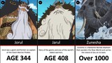 Oldest Characters In One Piece