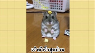 เพื่อนตัวน้อย สัตว์เลี้ยงแสนซน : เจ้าตัวจิ๋วสุดป่วน