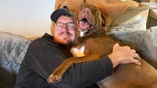 The dog that made me want a 2nd dog❤️️Cute Dog And Human Moments