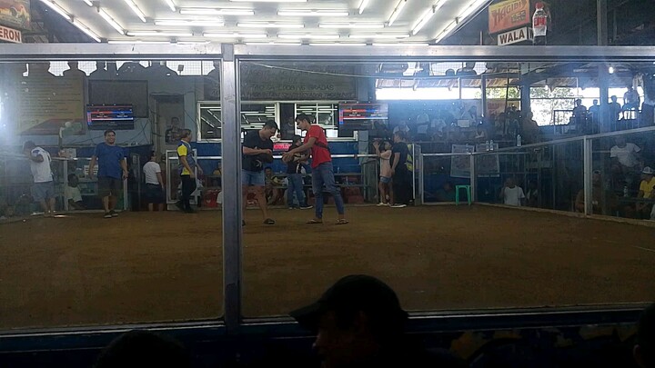 galing Ng manok