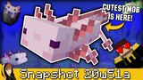 THE CUTEST MOB IS HERE!!! | Minecraft - Axolotl, New Gamerule & More [Snapshot 20w51a]