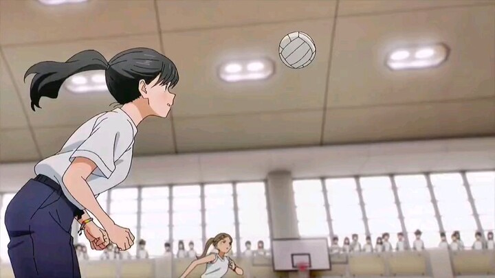 Volleyball