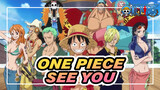 [One Piece] See You Two Years Later