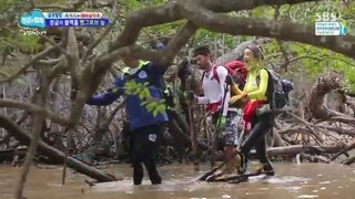 Law of the Jungle in New Caledonia [8] ENG SUB