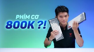 Đánh giá E-DRA EK384 & E-DRA384W, phím cơ ngon giá từ 800K với keycap PBT