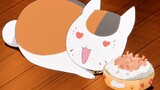 [Hữu Nhân Đường - Natsume Yuujinchou] Siêu chữa bệnh, cô giáo bán mèo dễ thương!