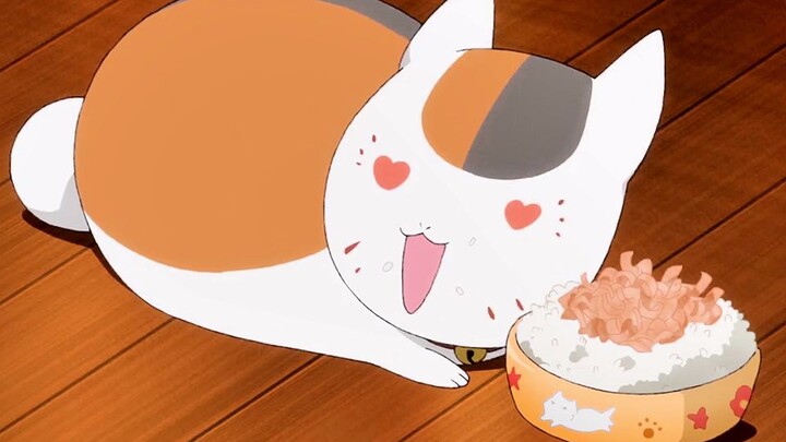 [Natsume's Book of Friends] Super healing, cat teacher sells cuteness!