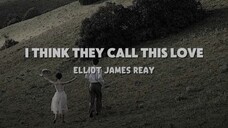 I THINK THEY CALL THIS LOVE BY ELLIOT JAMES REAY