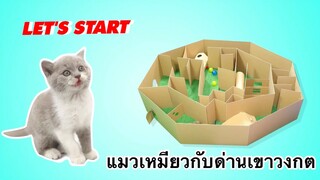 เพื่อนตัวน้อย สัตว์เลี้ยงแสนซน : แมวเหมียวกับด่านเขาวงกต