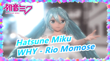Hatsune Miku [MMD]WHY - Rio Momose