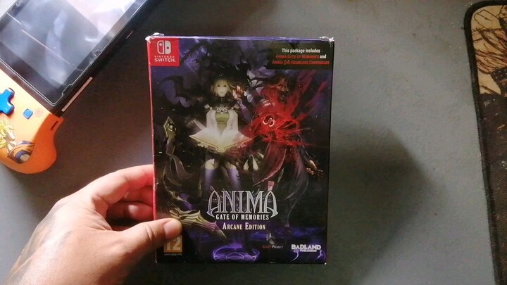 Anima:Gate of Memories (Arcane Edition) Nintendo switch Gameplay