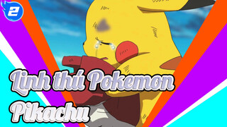 Linh thú Pokemon|Pikachu_2