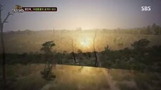 Law of the Jungle in Himalayas [1] SUB INDO