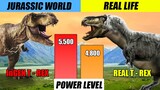 Jurassic World Dinosaur and Real Life Dinosaur Power Comparison | SPORE