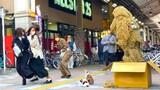 Strawman and stray cats scaring people : Japan's New Year Starts with a crazy screams/Bushman prank