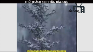 Thử thách sinh tồn _ ở Bắc Cực 100 ngày sẻ được 1 triệu đola bạn có muốn thử P1