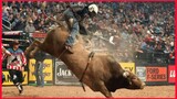Bulls That Have Wrecked The Most Rider: Top 3 Buckoff Steaks Right Now.