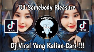 DJ SOMEBODY PLEASURE V3  FARRIJ RMX AZIZ HEDRA VIRAL TIK TOK TERBARU 2024 YANG KALIAN CARI !