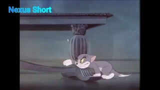 Tom & Jerry (Ep 4.3) Fraidy Cat (phần 3) #TomandJerry