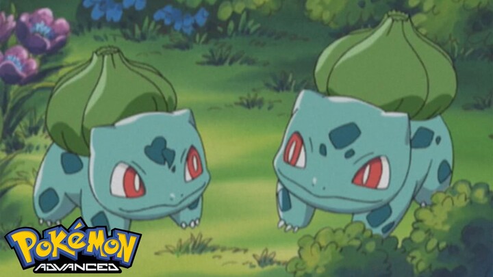 Pokémon AG Tập 350: Fushigidane và Fushigidane! Lấy lại những quả cầu Pokemon!! (Thuyết Minh)
